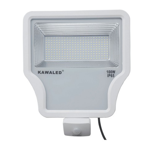 Đèn pha LED cảm ứng cao cấp FL1S-100W